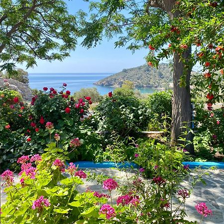 Studios Ioanna Limnionas Samos Маратокампос Екстер'єр фото