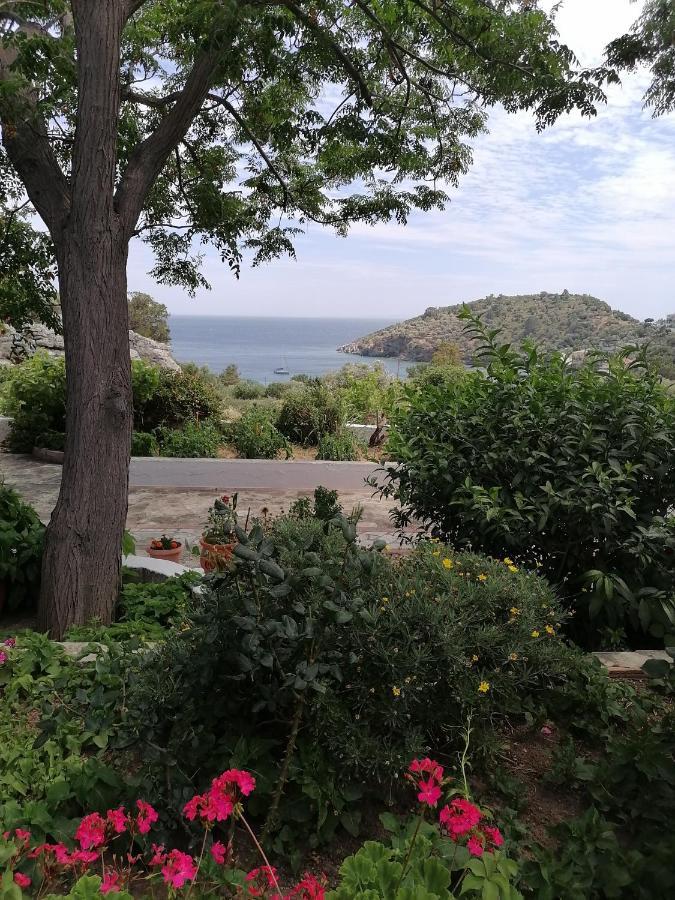 Studios Ioanna Limnionas Samos Маратокампос Екстер'єр фото