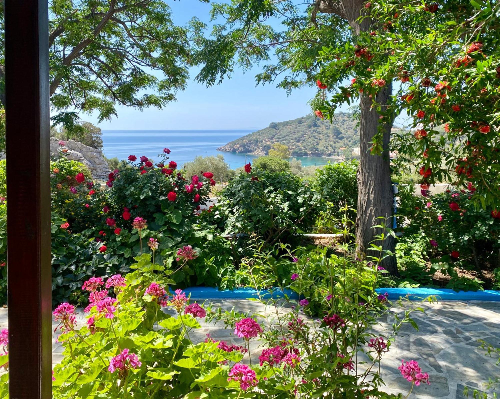 Studios Ioanna Limnionas Samos Маратокампос Екстер'єр фото
